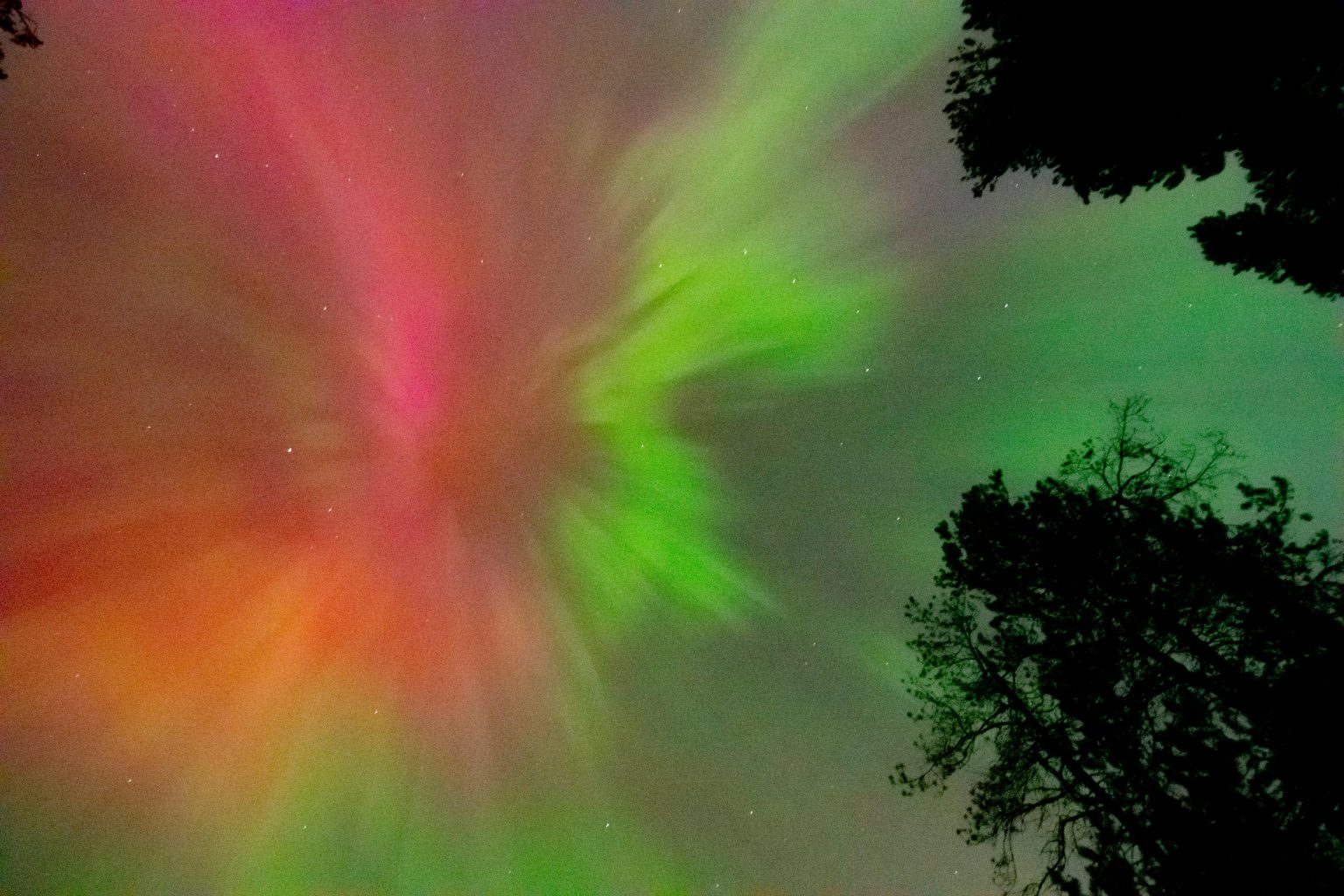 Muutama viikko sitten maapallolla tapahtui voimakas ilmakehän ilmiö: nyt näemme sen seuraukset.