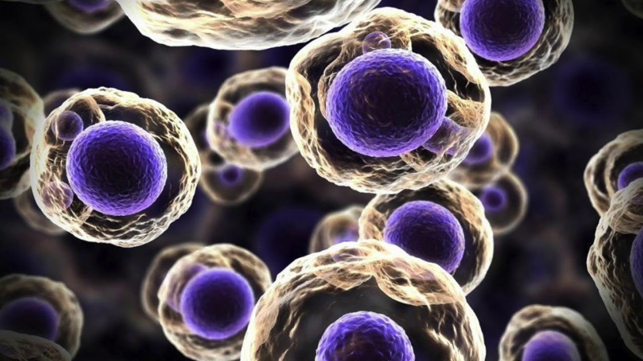 Elämä ilman elämää: luotu synteettisiä ”soluja”, jotka pystyvät lisääntymään ilman biologisia sääntöjä
