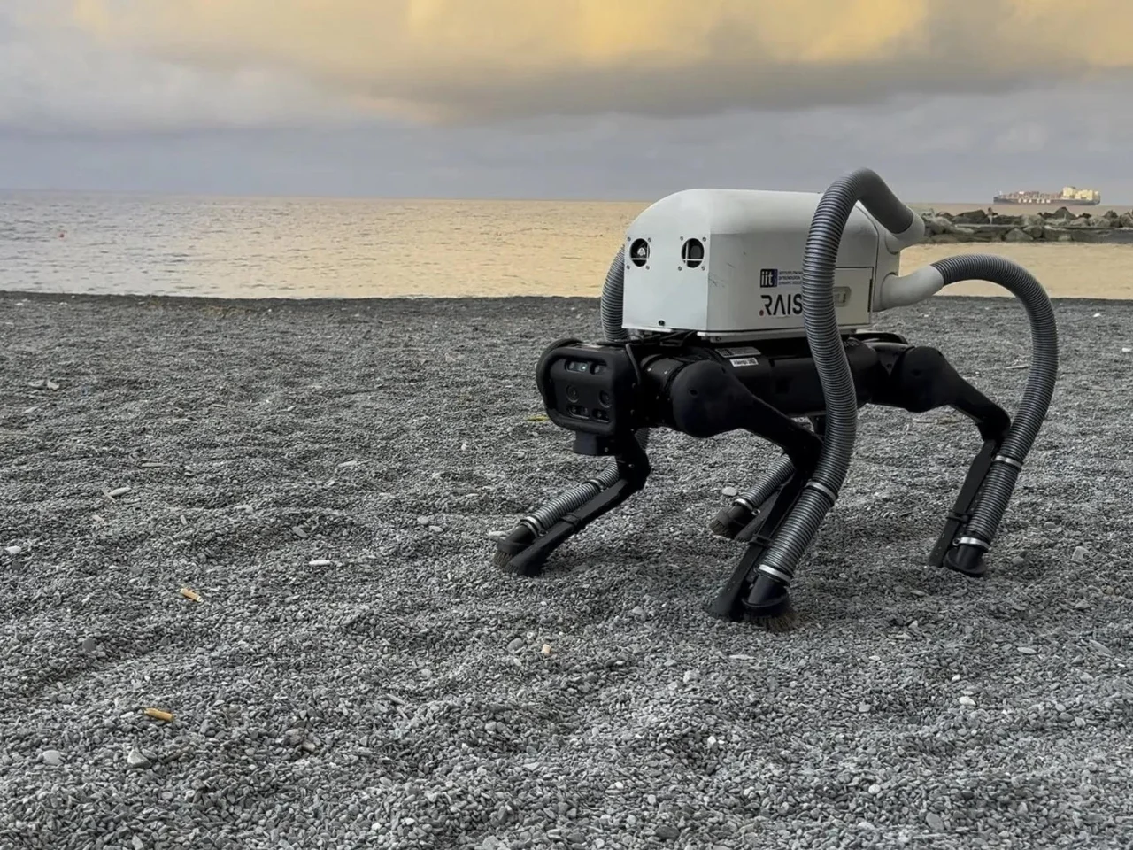 Italiassa on kehitetty robottikoira, joka ratkaisee yhden Espanjan rantojen suurimmista ongelmista.