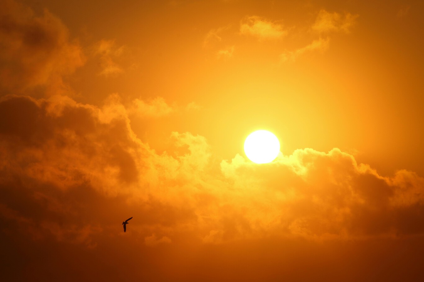 Tutkijat uskovat, että Aurinko tuhoaa aurinkokunnan 5 miljardin vuoden kuluttua.