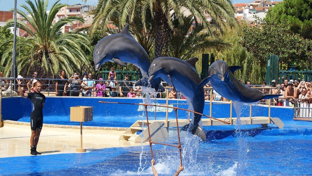 Marineland