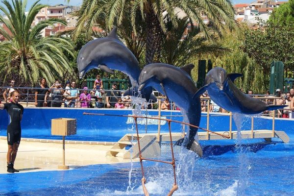 Marineland