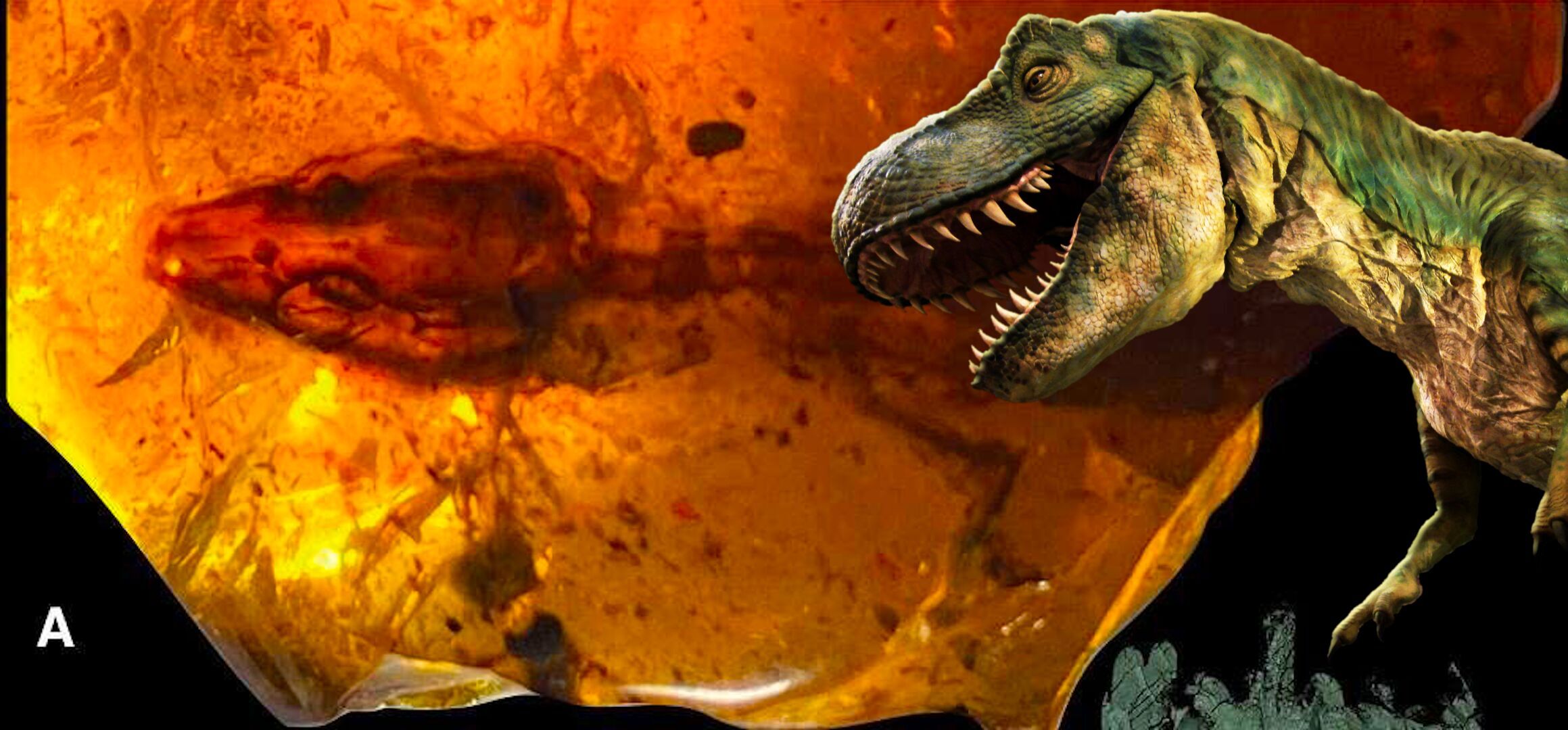 Tutkijat ovat havainneet, että dinosaurukset eivät näytä siltä kuin aiemmin on luultu.