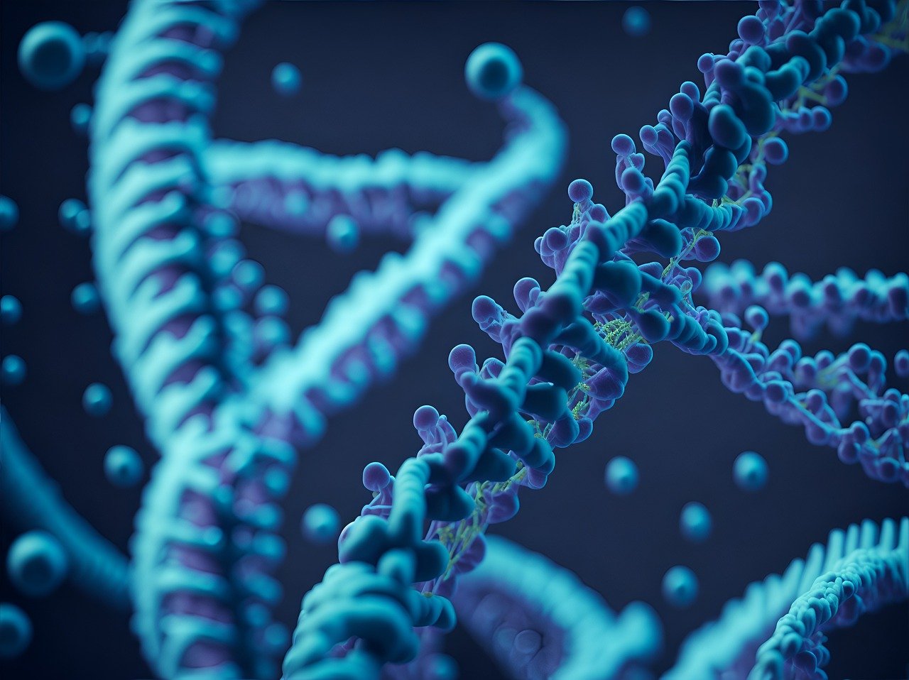 6 000 vuotta vanhoilla luurangoilla on erottuva DNA, joka ei liity nykyihmiseen