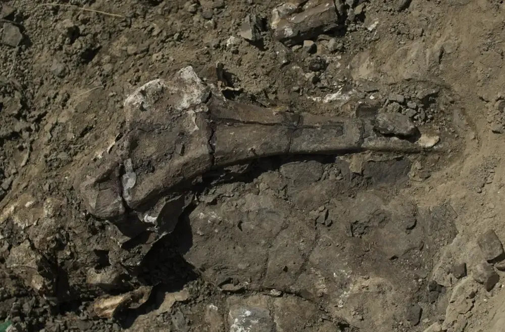 Kuolemanjoki on ilmestynyt: arkeologinen muinaisjäännös, jossa tuhannet dinosaurukset kuolivat hetkessä.