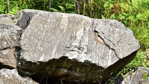 löytö