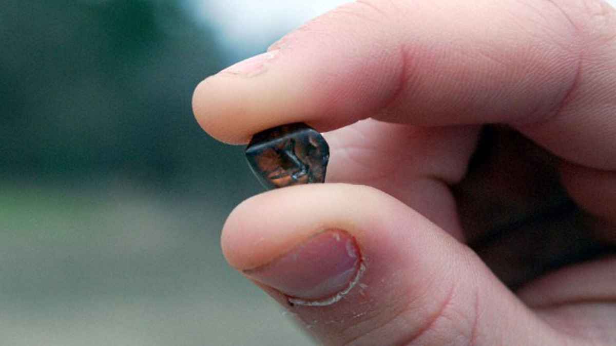 Mies, joka katselee kansallispuiston nähtävyyksiä, löytää 7,46 karaatin timantin ja tulee miljonääriksi: ”Olen niin onnellinen!”