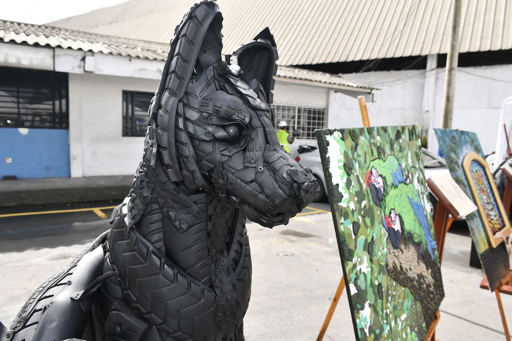 rengasta