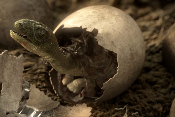 dinosauruksen muna
