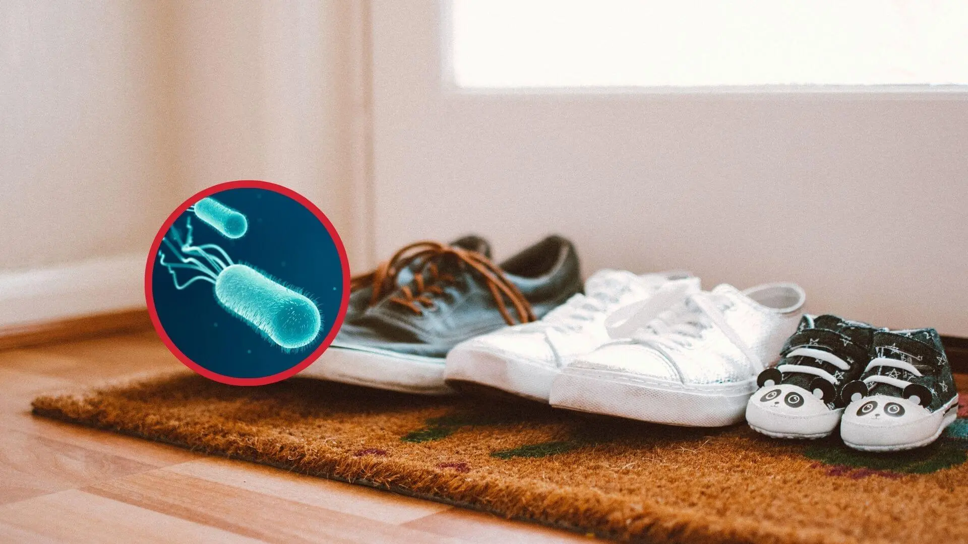 Kengät sisällä? Tässä on tieteen näkemys jalkapohjissa olevista mikrobeista